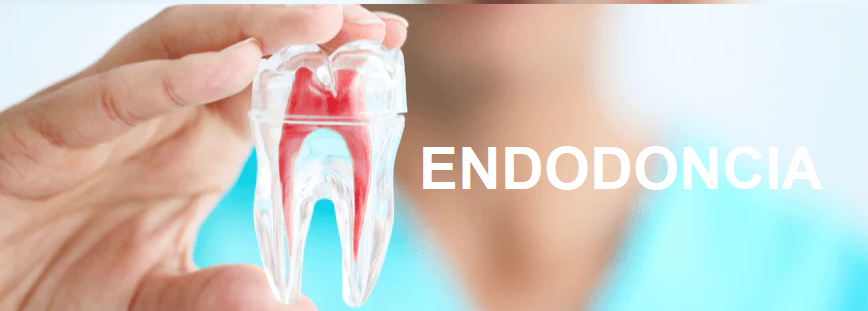 ENDODONCIA