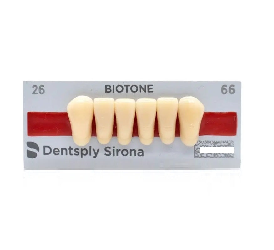 Tablilla Dientes Resina BITONE Dentsply Anteriores