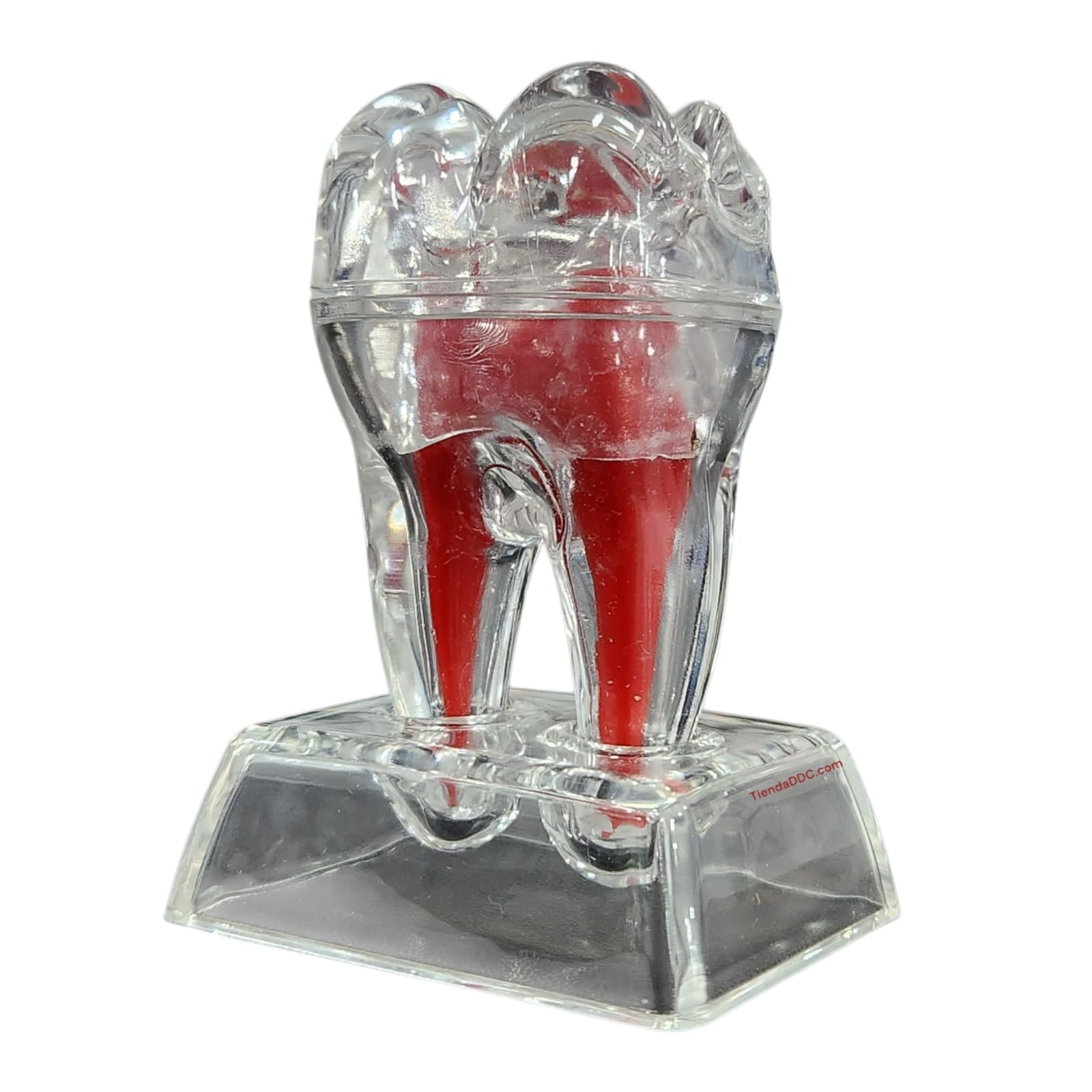 Muela decorativa en forma de muela desmontable