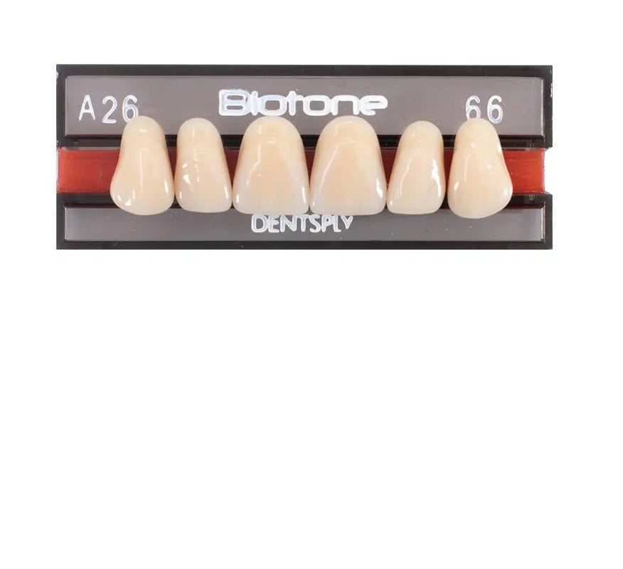 Tienda DDC - DENTSPLY - LAB - Tablilla Dientes Resina BITONE Dentsply Anteriores Superiores | TiendaDDC.com