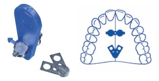Tornillo En Abanico Borgatta Denta