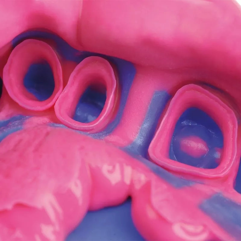 Hydrorise Putty Base Masillas Impresiones Dentales 600ml