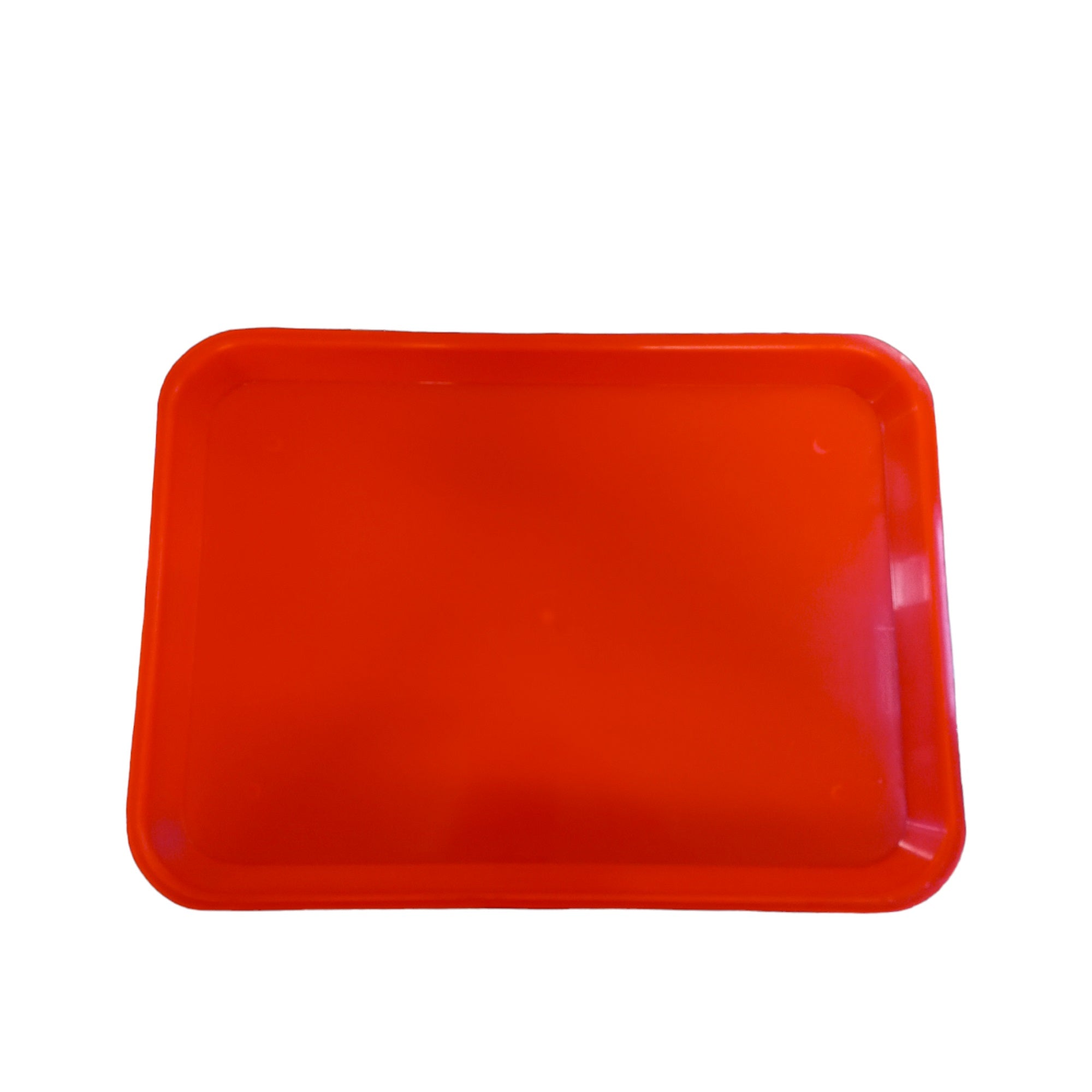 Charola Plastico Lisa Chica 17x25cm