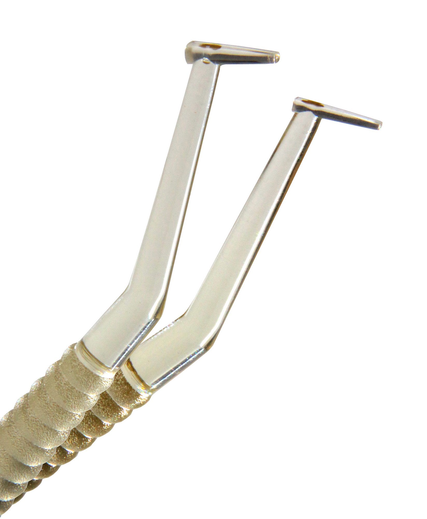 Kit TDV educación clínica para resinas dentales