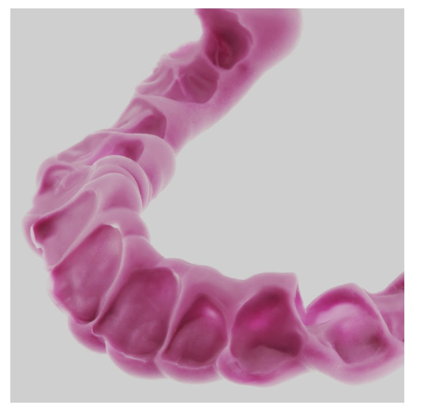 Occlufast Rock Registro mordida Oclusal 1 Cartucho
