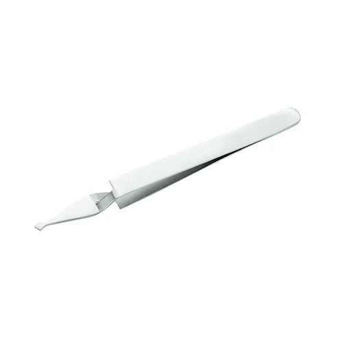 Tienda DDC - Tienda DDC - PINZA PORTA BRACKETS gayz | TiendaDDC.com