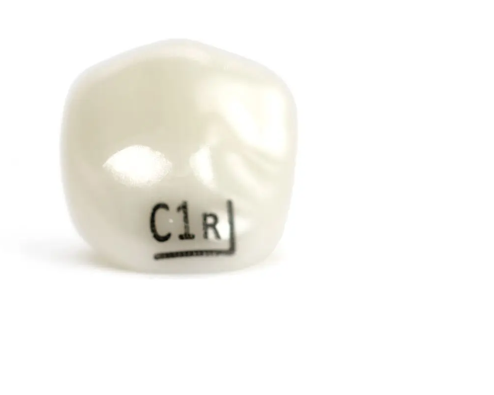 Tienda DDC - NuSmile - ODONTOPEDIATRIA - Coronas Zirconia NuSmile Canino Infantil de PRUEBA | TiendaDDC.com