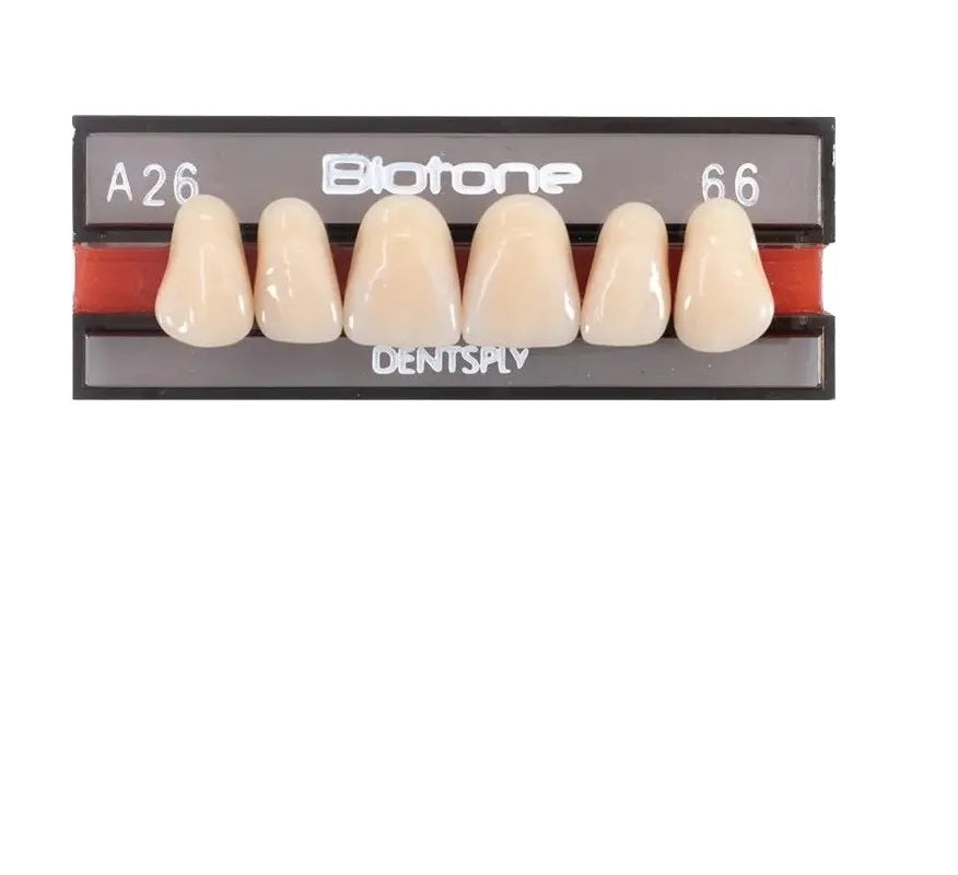 Tablilla Dientes Resina BITONE Dentsply Anteriores