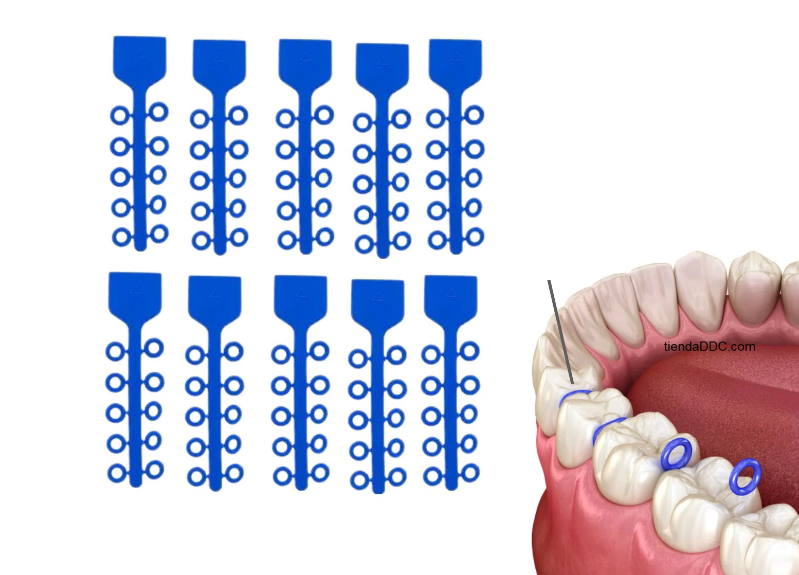 Ligas separadoras c/10