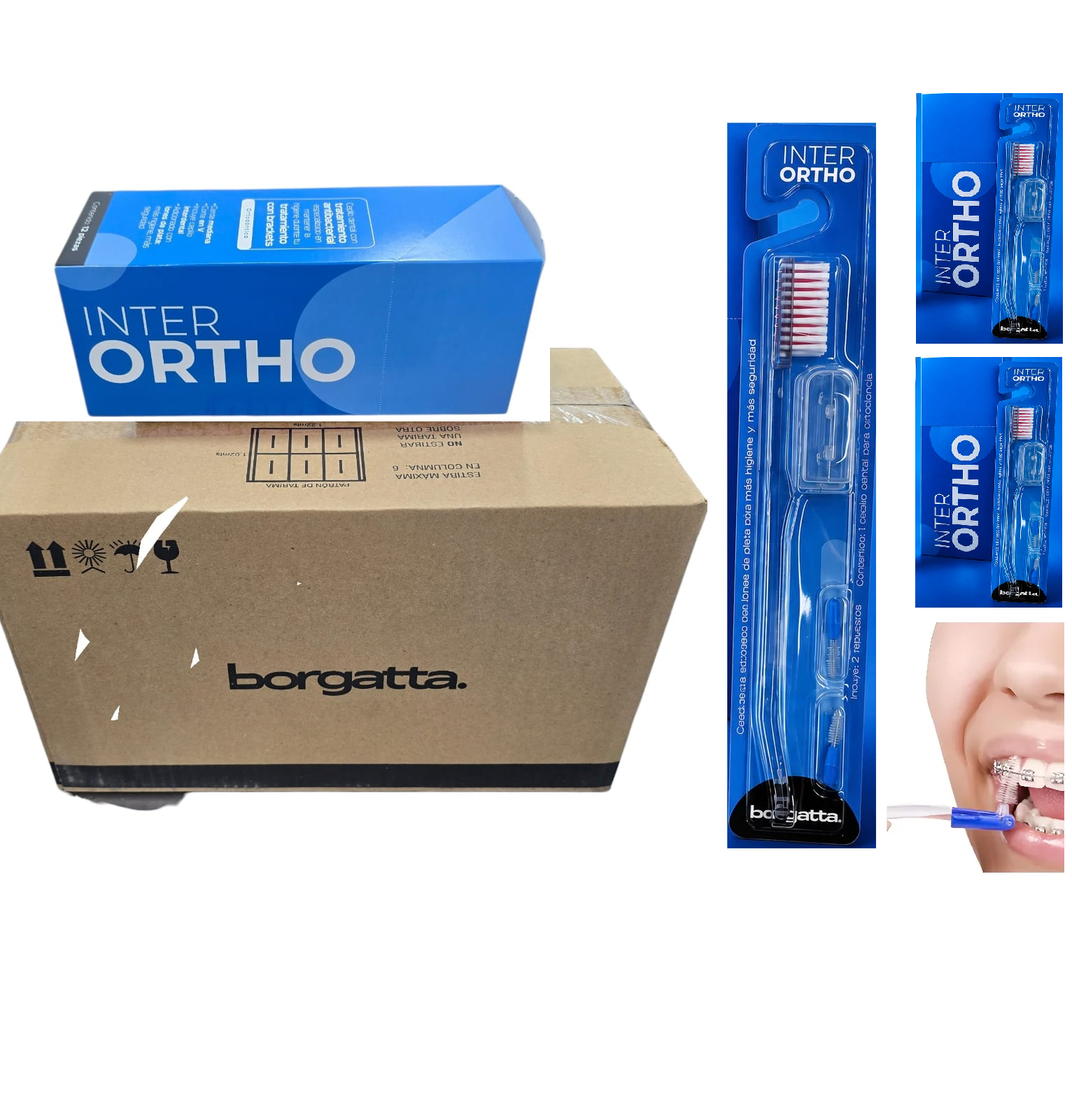 7506185928489 - BORGATTA - CEPILLOS INTER ORTHO Borgatta Ortodoncia Caja Master 8 pzas 96 cepillos | TiendaDDC.com