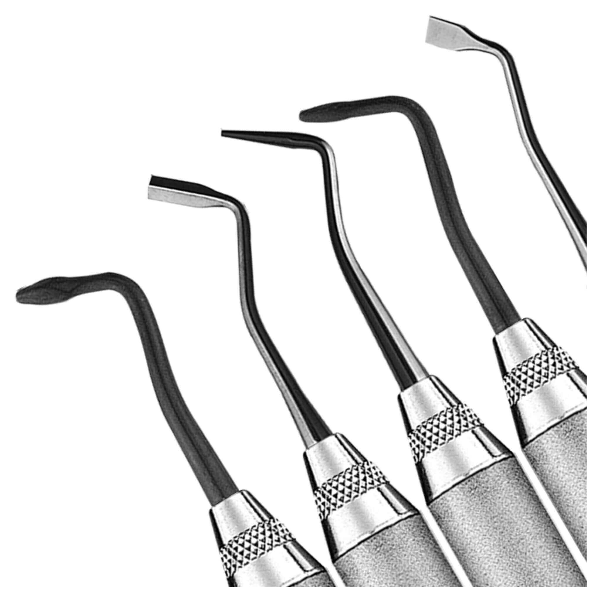 Tienda DDC - HU-FRIEDY - Kit Espátulas Posteriores Xts 5 Pzas Hu Friedy Tnposkit | TiendaDDC.com