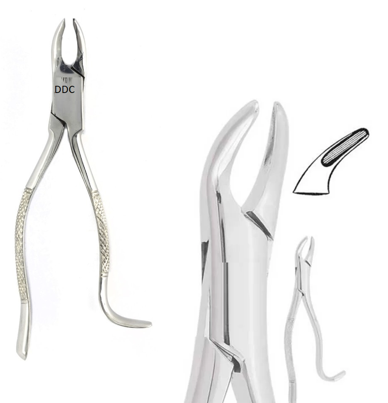 Forcep Dental pinzas