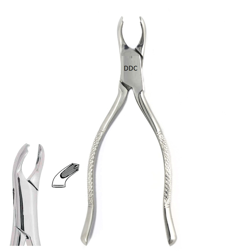 Forcep Dental pinzas