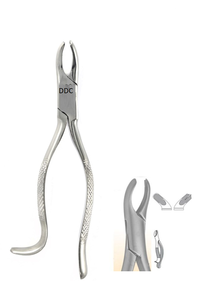 Forcep Dental pinzas