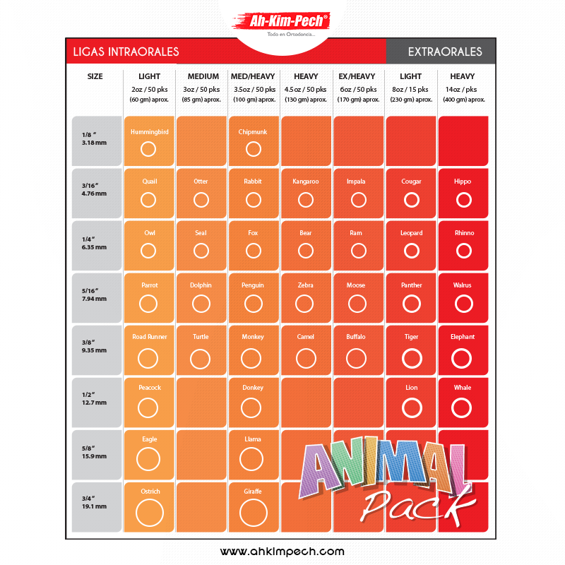 LIGAS INTRAORALES ELASTICS STYLUS