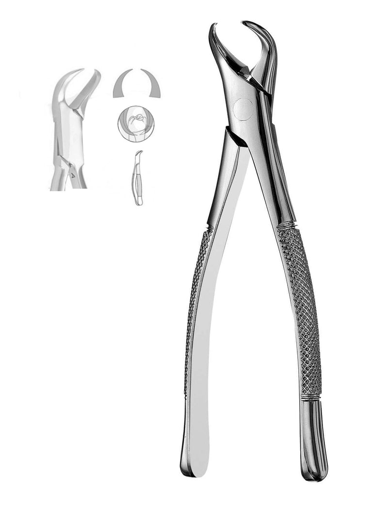 Forcep Dental pinzas