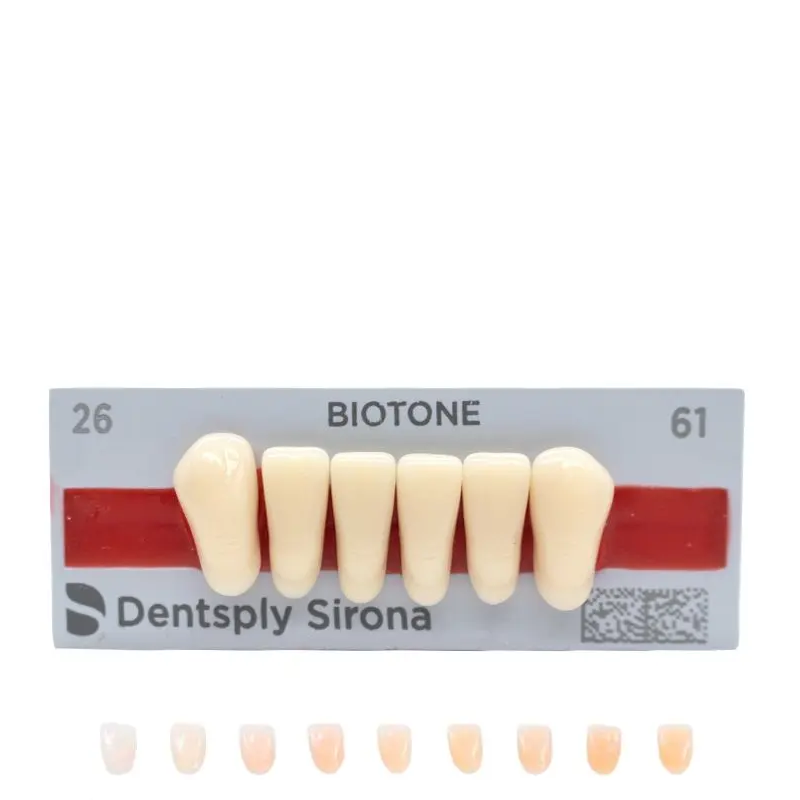 Tienda DDC - DENTSPLY - LAB - Tablilla Dientes Resina BITONE Dentsply Anteriores Inferiores | TiendaDDC.com