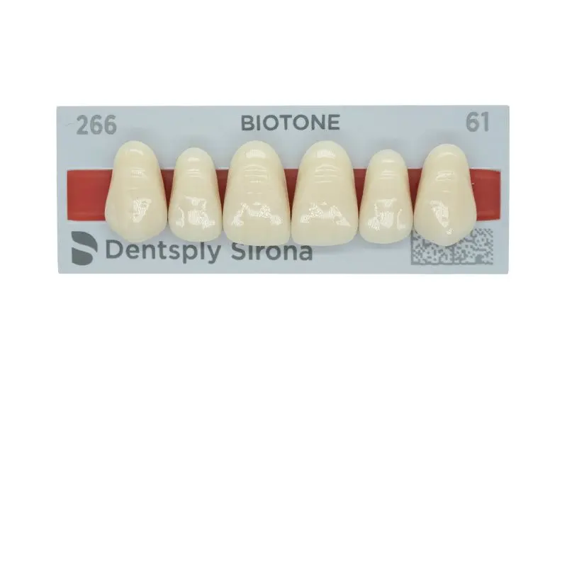Tienda DDC - DENTSPLY - LAB - Tablilla Dientes Resina BITONE Dentsply Anteriores Superiores | TiendaDDC.com