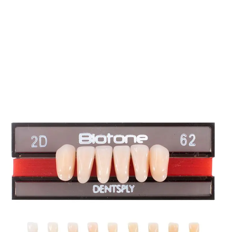 Tienda DDC - DENTSPLY - LAB - Tablilla Dientes Resina BITONE Dentsply Anteriores Inferiores | TiendaDDC.com