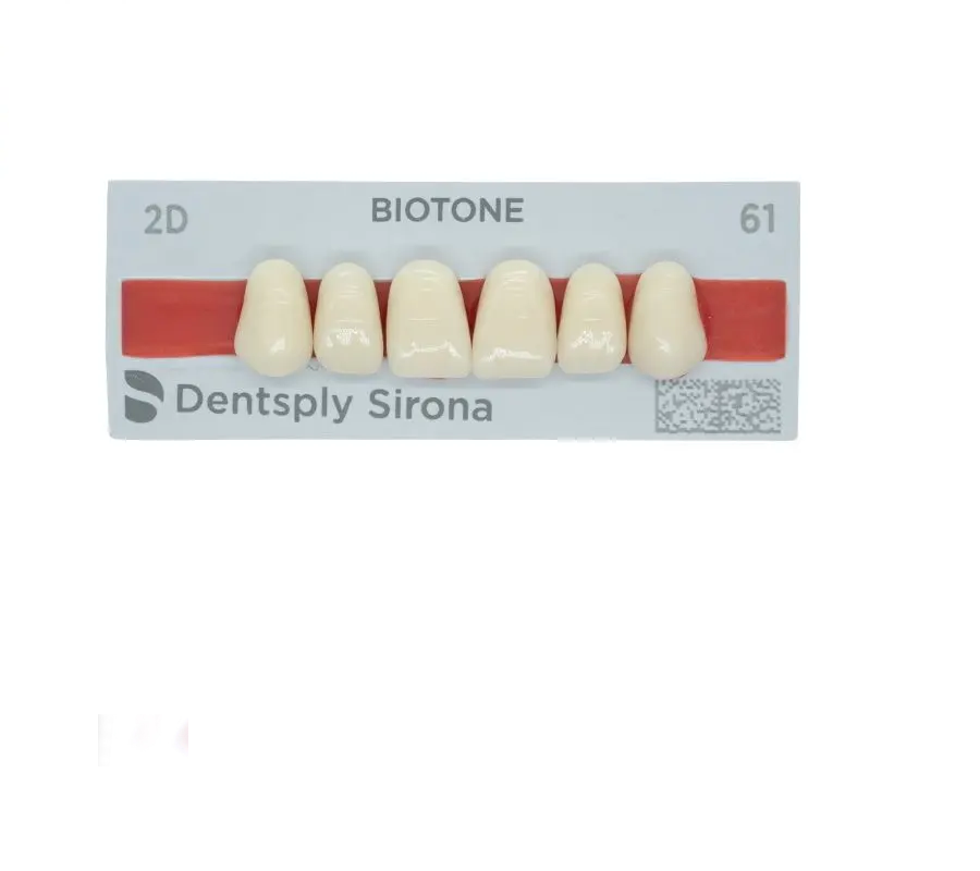 5010000182618 - DENTSPLY - LAB - Tablilla Dientes Resina BIOTONE Dentsply Anteriores Superiores | TiendaDDC.com