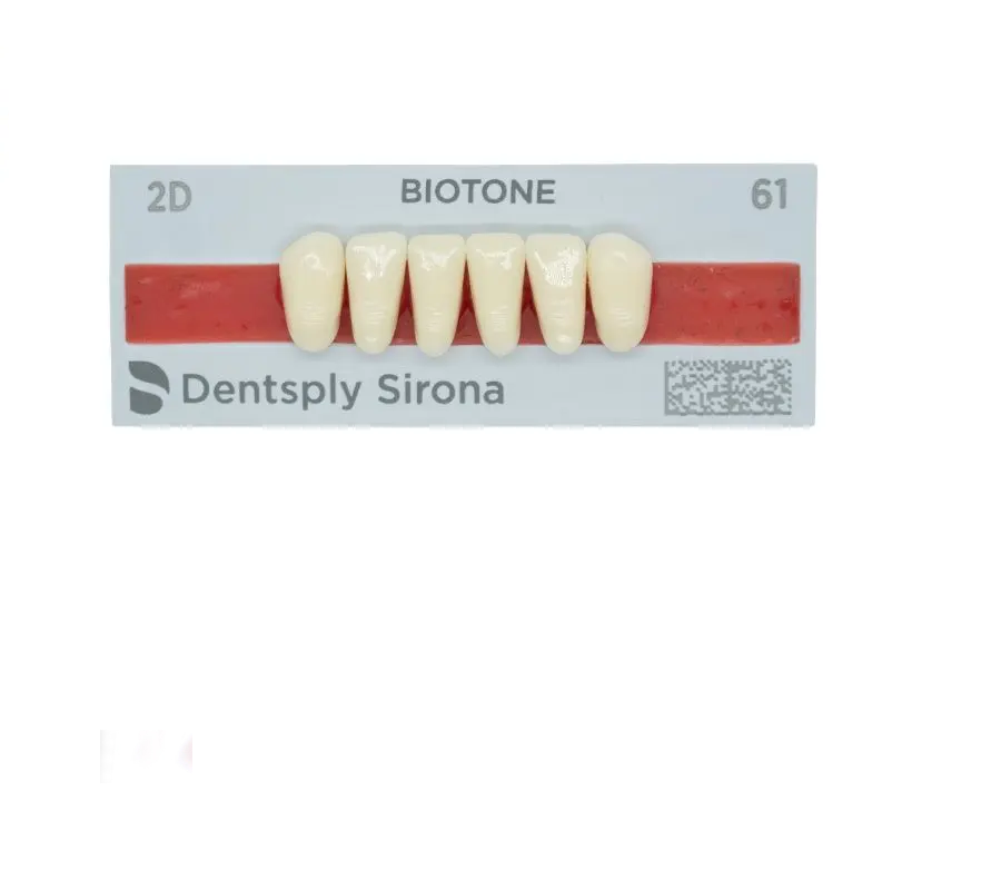 Tablilla Dientes Resina BITONE Dentsply Anteriores Inferiores