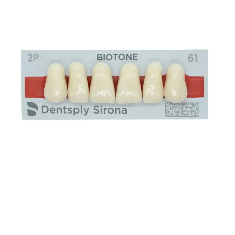 5010000182618 - DENTSPLY - LAB - Tablilla Dientes Resina BIOTONE Dentsply Anteriores Superiores | TiendaDDC.com