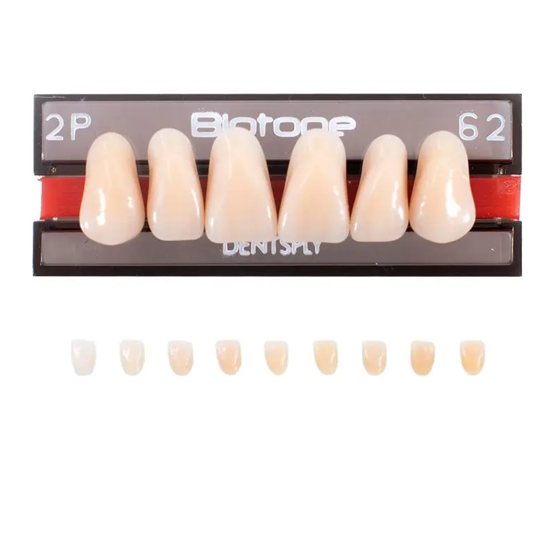 5010000182618 - DENTSPLY - LAB - Tablilla Dientes Resina BIOTONE Dentsply Anteriores Superiores | TiendaDDC.com