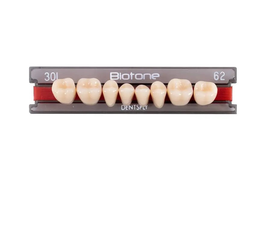Tienda DDC - DENTSPLY - RESTA - Tablilla Dientes Resina BITONE Dentsply Posterior | TiendaDDC.com