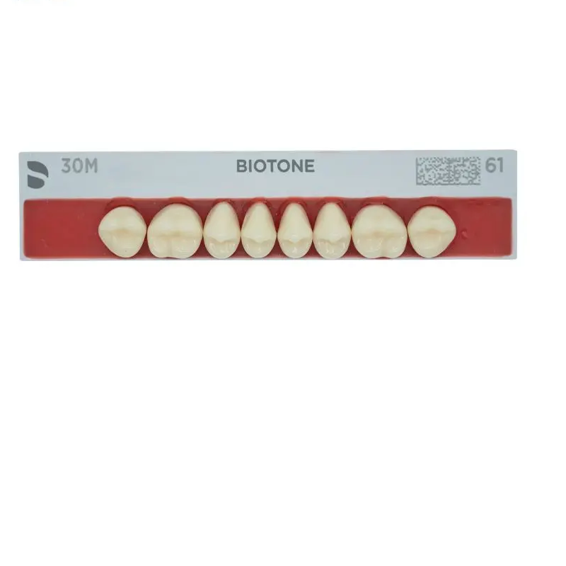 Tienda DDC - DENTSPLY - RESTA - Tablilla Dientes Resina BITONE Dentsply Posterior | TiendaDDC.com