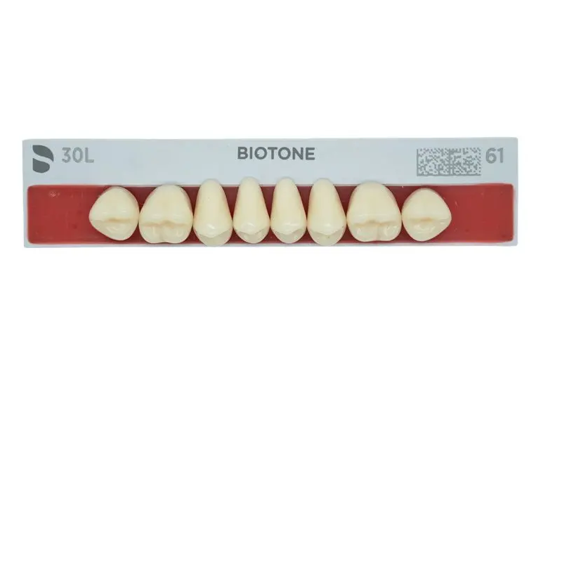Tienda DDC - DENTSPLY - RESTA - Tablilla Dientes Resina BITONE Dentsply Posterior | TiendaDDC.com