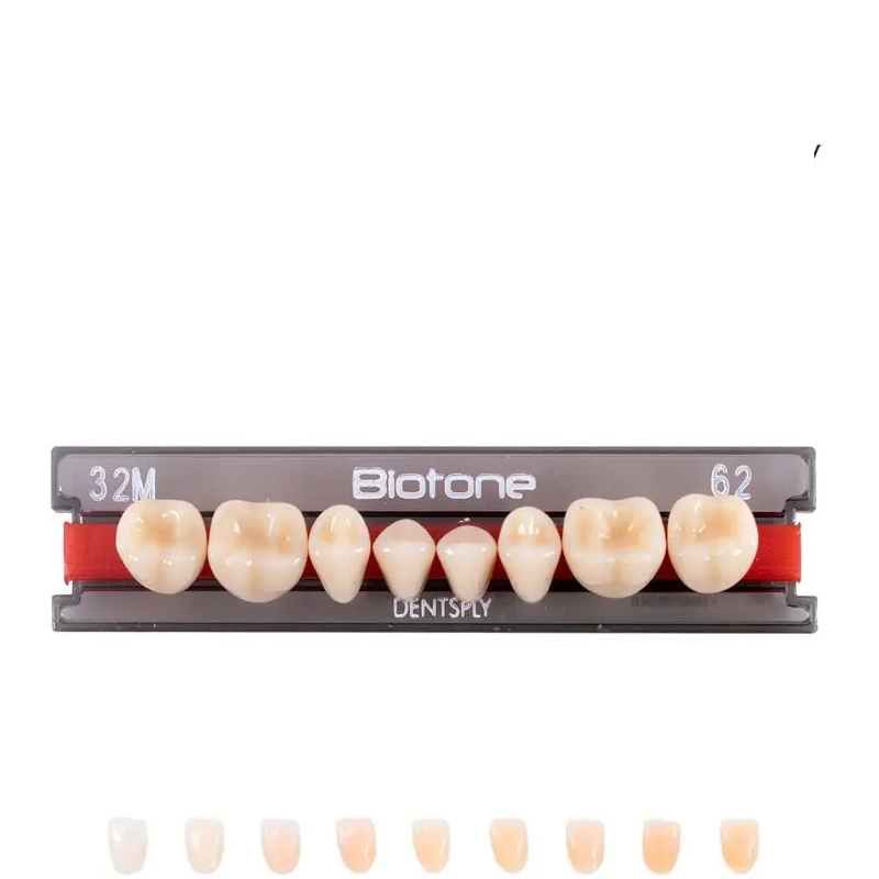 Tienda DDC - DENTSPLY - RESTA - Tablilla Dientes Resina BITONE Dentsply Posterior | TiendaDDC.com