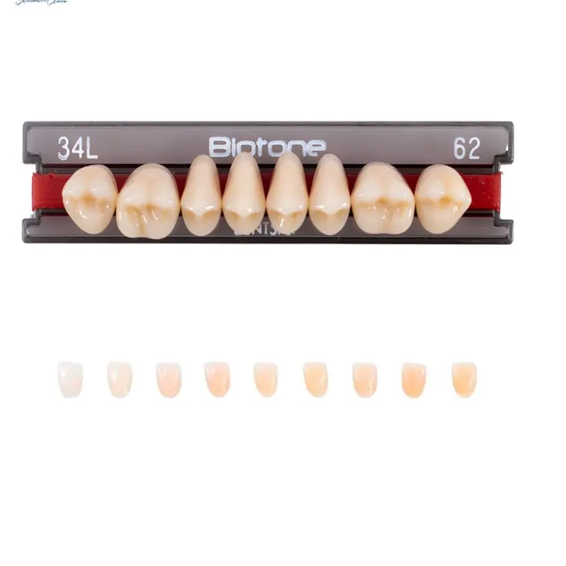 Tienda DDC - DENTSPLY - RESTA - Tablilla Dientes Resina BITONE Dentsply Posterior | TiendaDDC.com