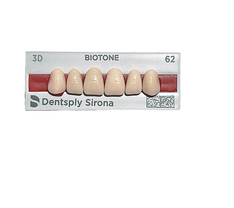 5010000182618 - DENTSPLY - LAB - Tablilla Dientes Resina BIOTONE Dentsply Anteriores Superiores | TiendaDDC.com