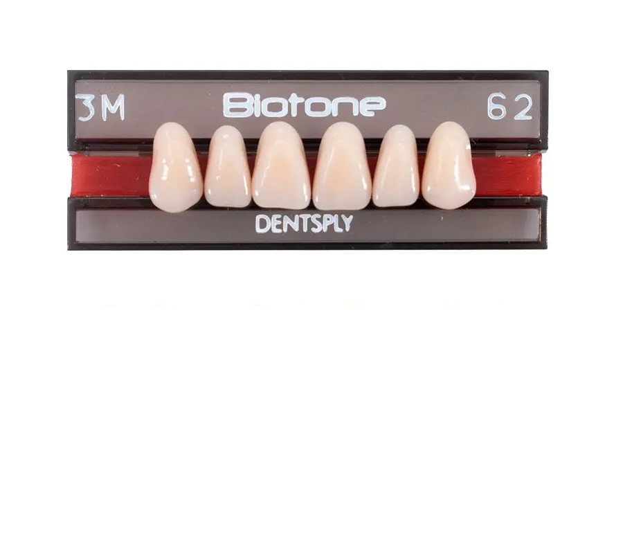 5010000182618 - DENTSPLY - LAB - Tablilla Dientes Resina BIOTONE Dentsply Anteriores Superiores | TiendaDDC.com