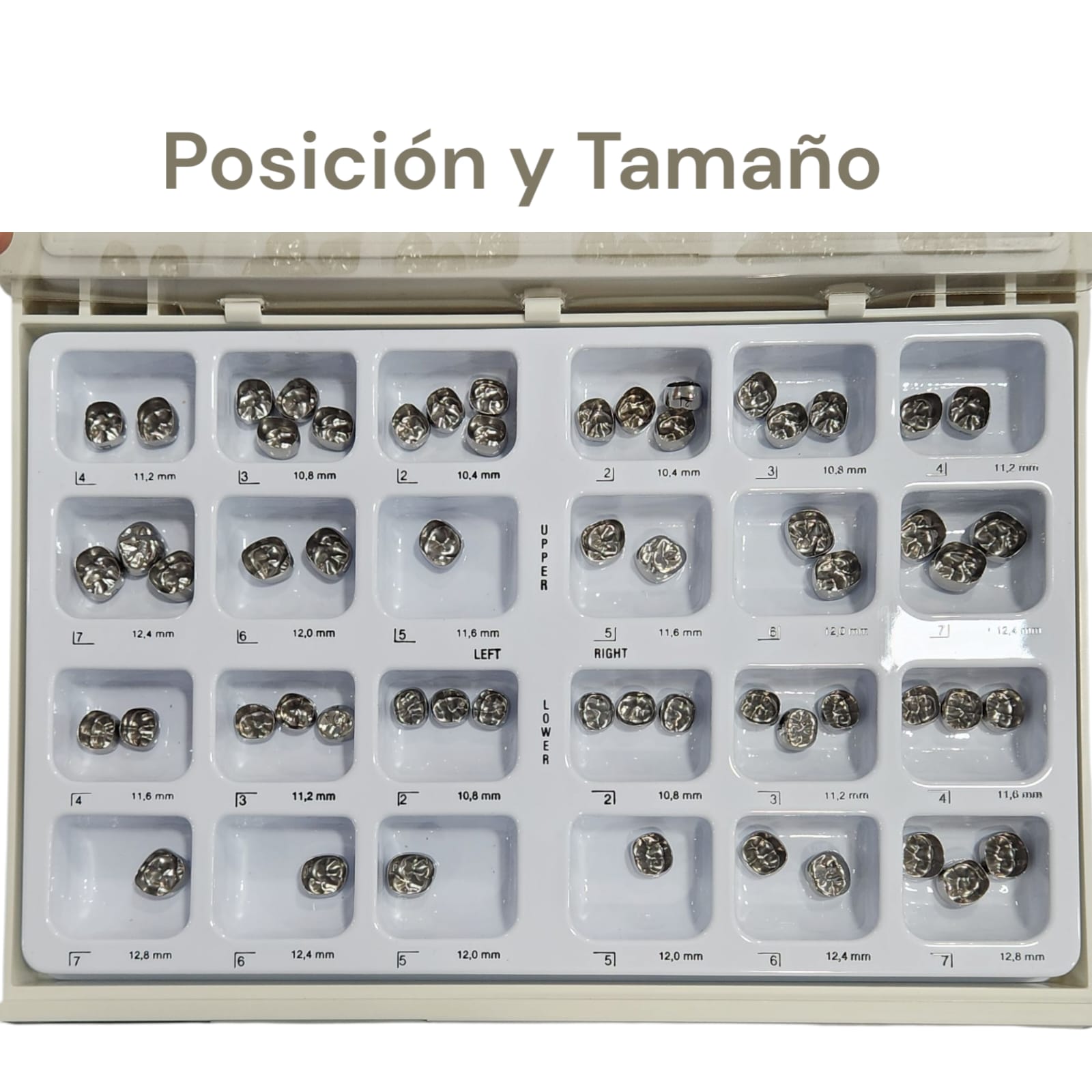 Coronas Acero Cromo Permanentes Adulto 3M
