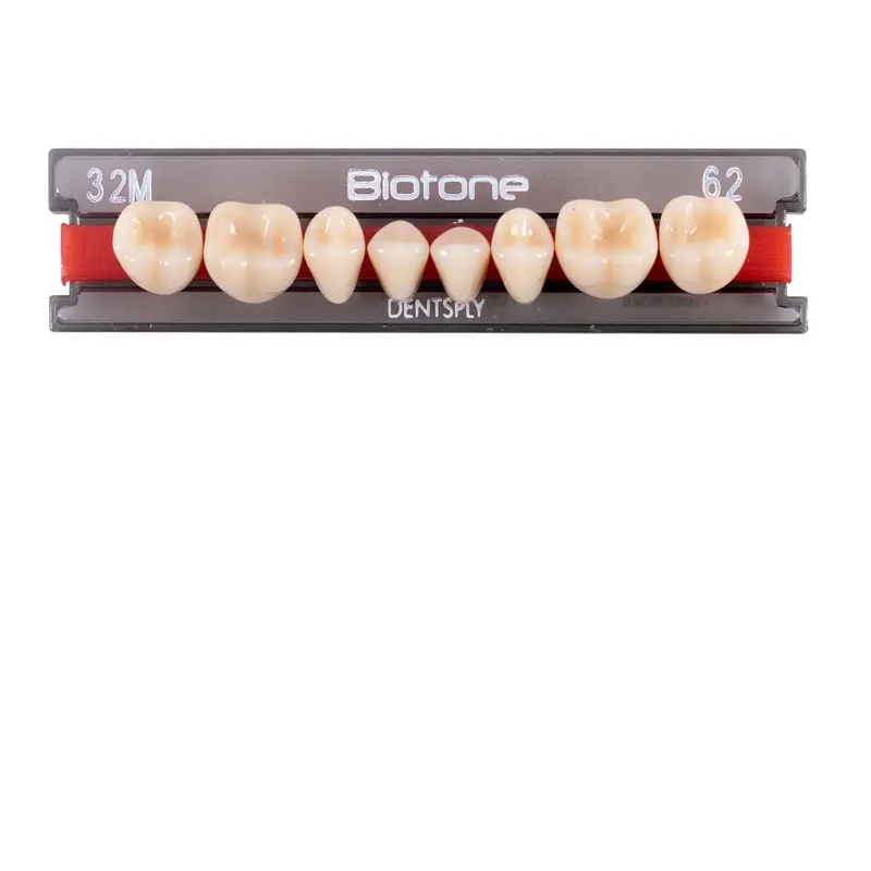 5010000182618 - DENTSPLY - RESTA - Tablilla Dientes Resina BIOTONE Dentsply Posterior | TiendaDDC.com