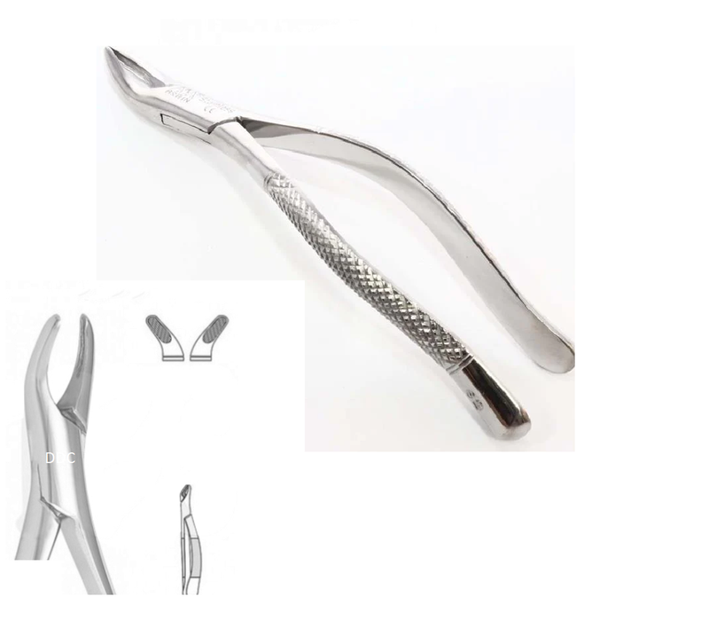 Forcep Dental pinzas