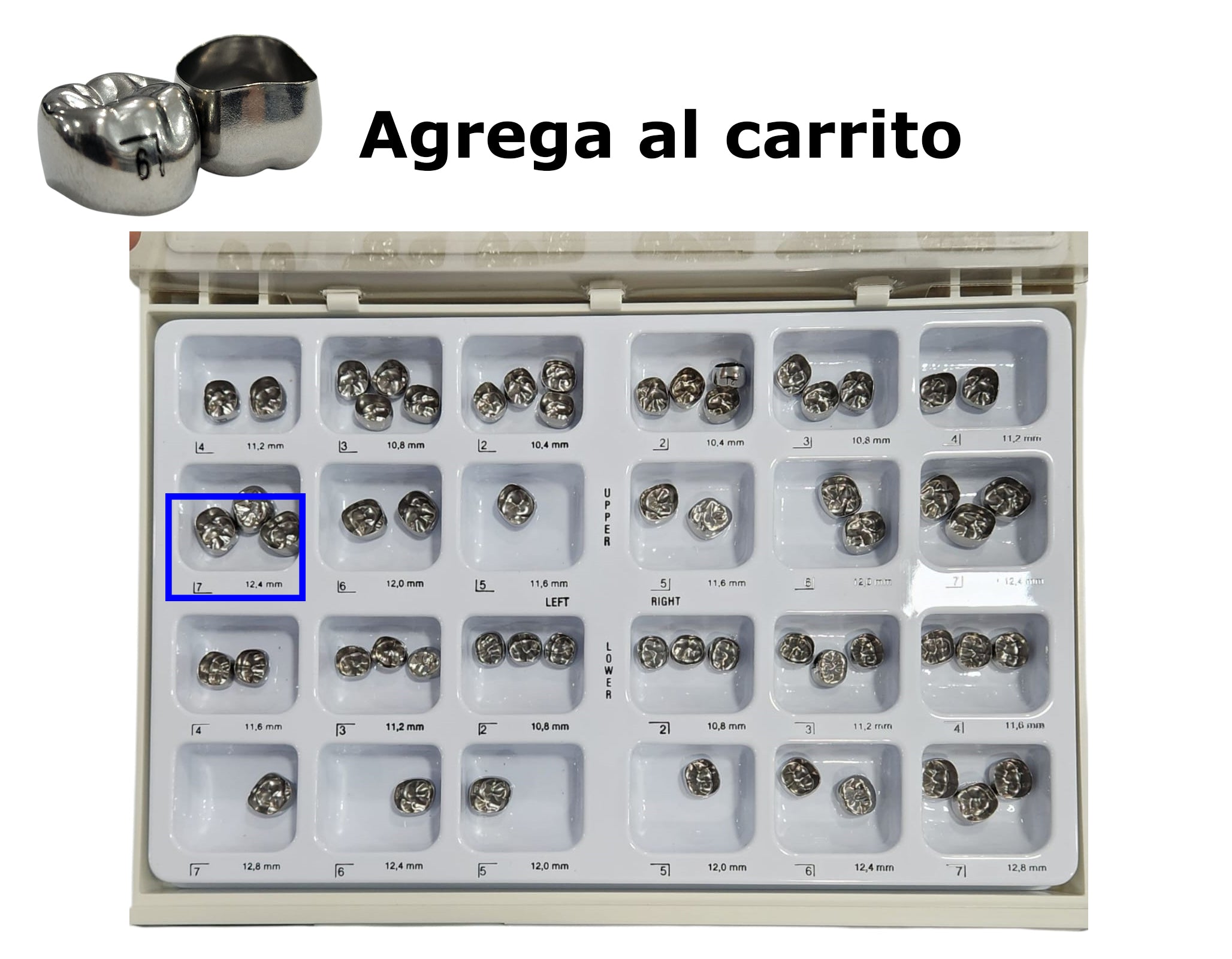 Coronas Acero Cromo Permanentes Adulto 3M