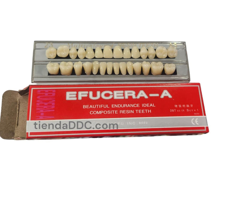 Dientes Para Protesis Dental 24pz