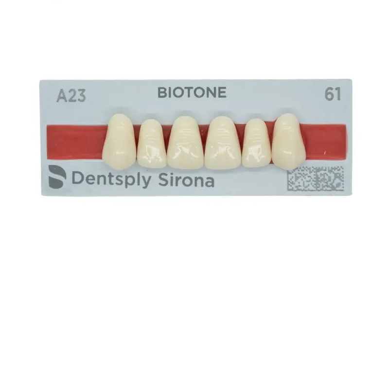 Tienda DDC - DENTSPLY - LAB - Tablilla Dientes Resina BITONE Dentsply Anteriores Superiores | TiendaDDC.com
