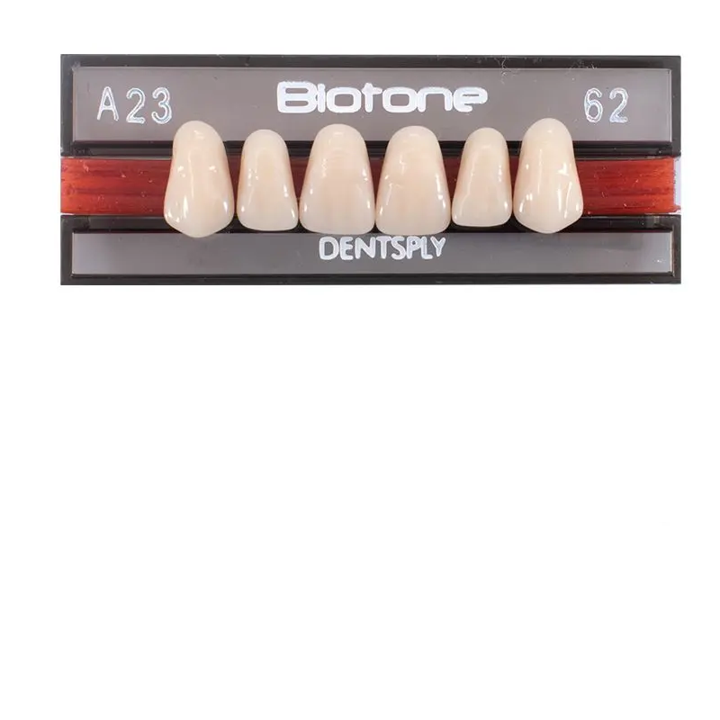 Tienda DDC - DENTSPLY - LAB - Tablilla Dientes Resina BITONE Dentsply Anteriores Superiores | TiendaDDC.com