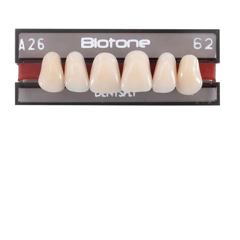 Tienda DDC - DENTSPLY - LAB - Tablilla Dientes Resina BITONE Dentsply Anteriores Superiores | TiendaDDC.com