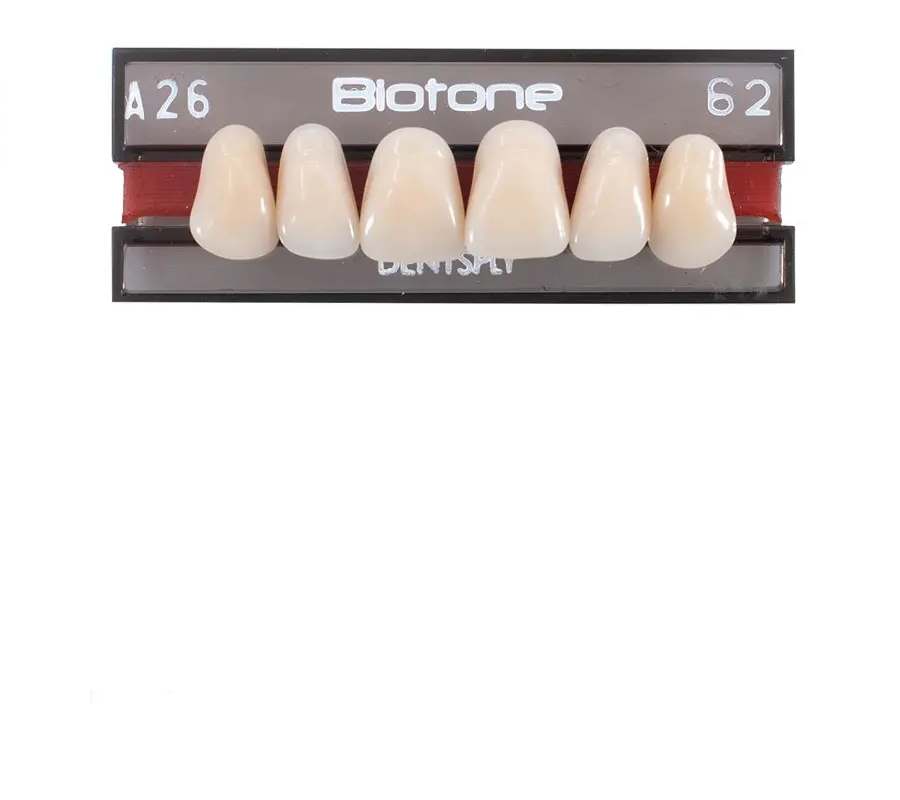 5010000182618 - DENTSPLY - LAB - Tablilla Dientes Resina BIOTONE Dentsply Anteriores Superiores | TiendaDDC.com