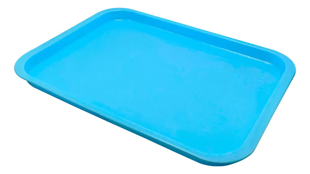 Charola De Plástico Lisa Autoclavable para Instrumental Grande