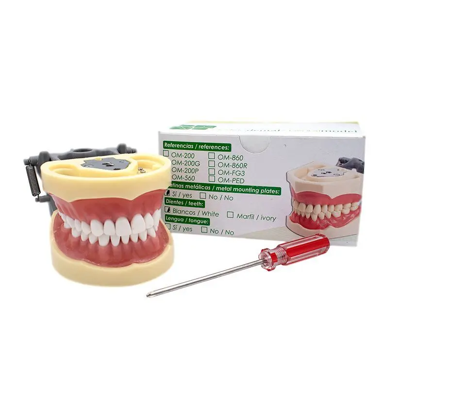 TIPODONTO TIPO NISSI ADULTO MULTIFUNCIONAL DYMA dm-200g