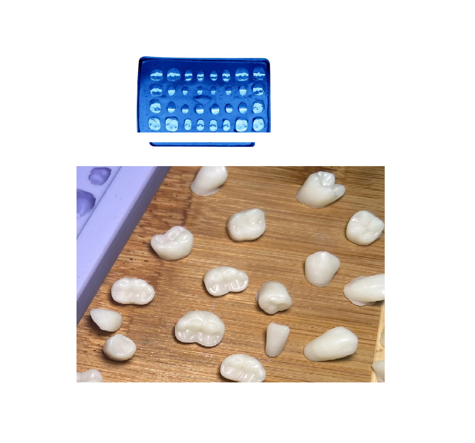 Tienda DDC - Vor - CLINICA - molde silicon para formar dientes en cera centrales premo molares | TiendaDDC.com