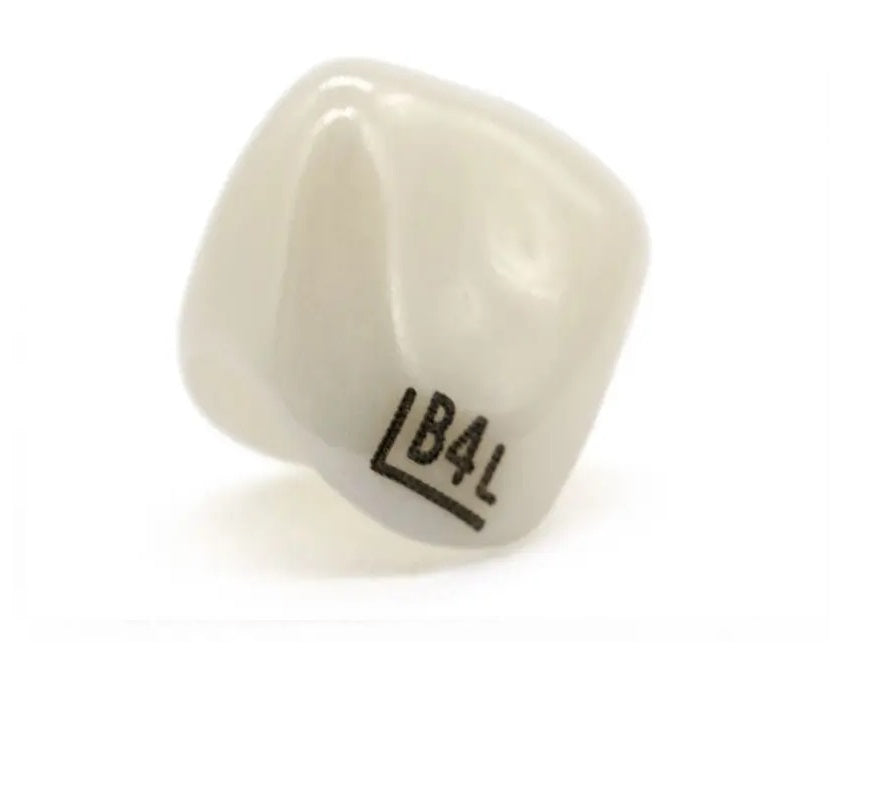 Corona Zirconia NuSmile anterior centrales laterales superiores