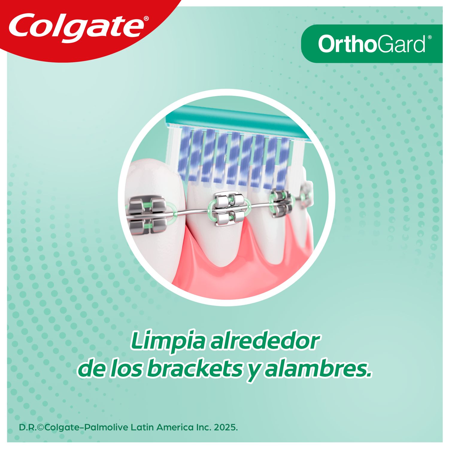 7891024068007 - Colgate - Cepillo Dental Ortho Gard Colgate Para Ortodoncia | TiendaDDC.com
