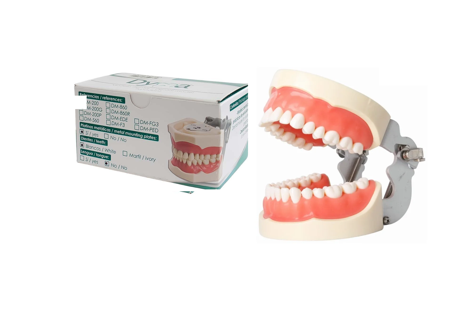 TIPODONTO TIPO NISSI ADULTO DYMA DM-200