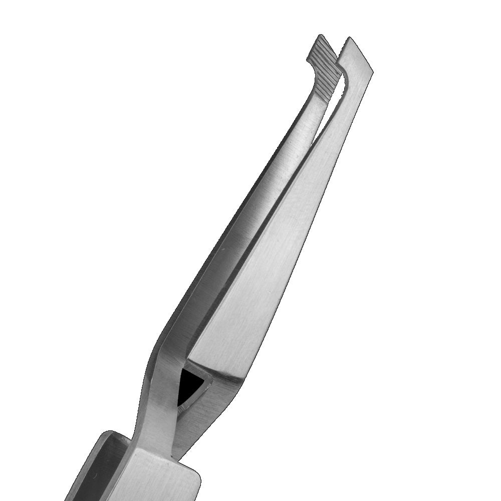 Tienda DDC - Tienda DDC - PINZA PORTA BRACKETS gayz | TiendaDDC.com